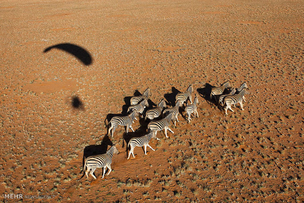 عکس های هوایی از نامیبیا