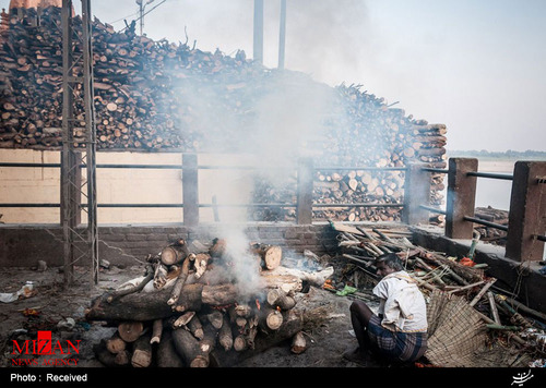 سوزاندن مردگان در هند/عکس