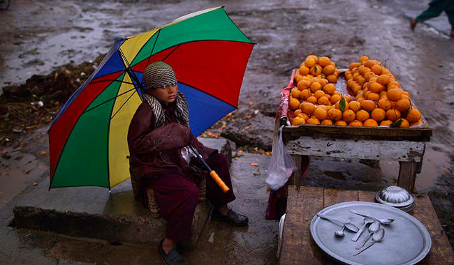 مردم پرتقال را از سبد میوه شب عید خود حذف کنند!