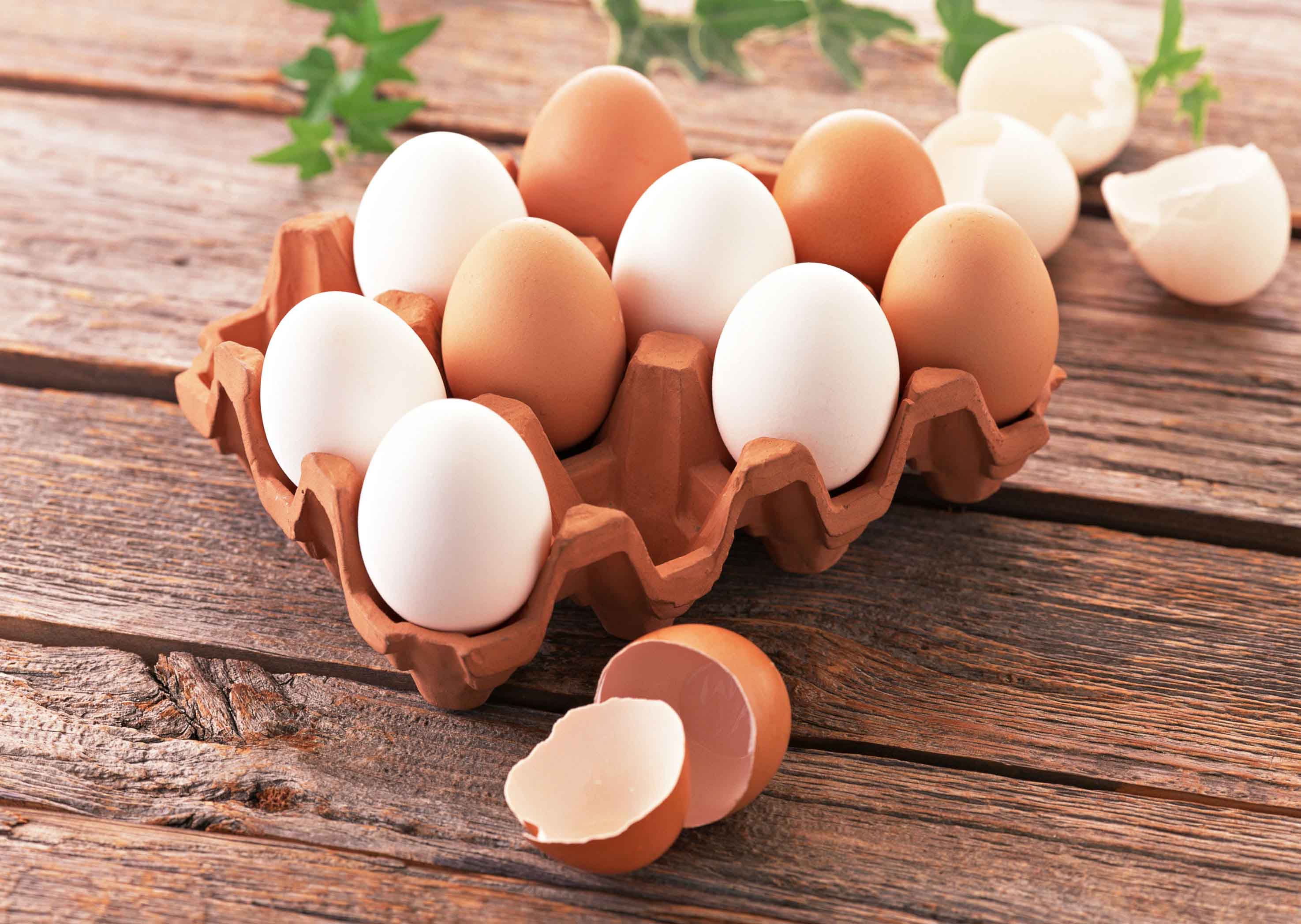 راز تخم مرغ های گران چیست؟!