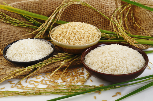 مقصر اصلی گرانی برنج ایرانی کیست؟