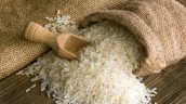 مصادره ویلای 35 میلیاردی به جای برنج!