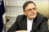 ناگفتههای سیف از فعالیت پشت پرده موسسات مالی غیرمجاز