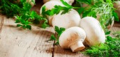 تکذیب عرضه قارچ آلوده در میادین میوه و تره بار