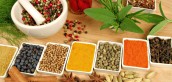 آفت چینی در صنعت گیاهان دارویی ایران!