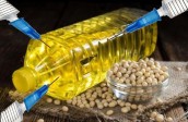 روغنهای تراریخته بر سفره ۸۰ میلیون ایرانی
