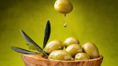واردات زیتون ممنوع است
