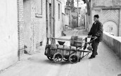 مشاغلی که به موزه رفتند