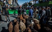 محرم امسال مراقب یک بیماری خطرناک باشید