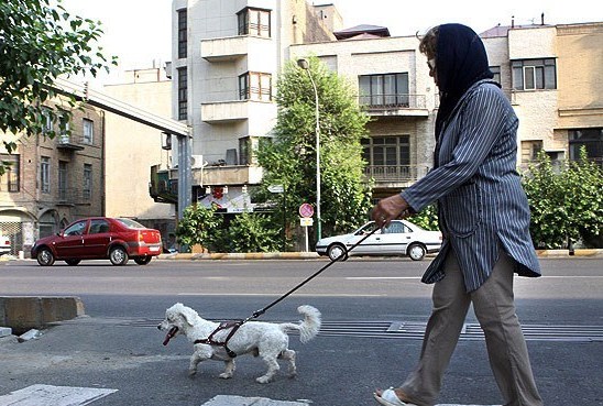 بازار میلیاردی خرید و فروش حیوانات خارجی در ایران