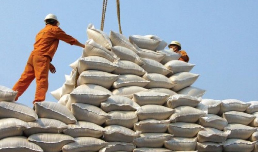 تغییر الگوی واردات برنج