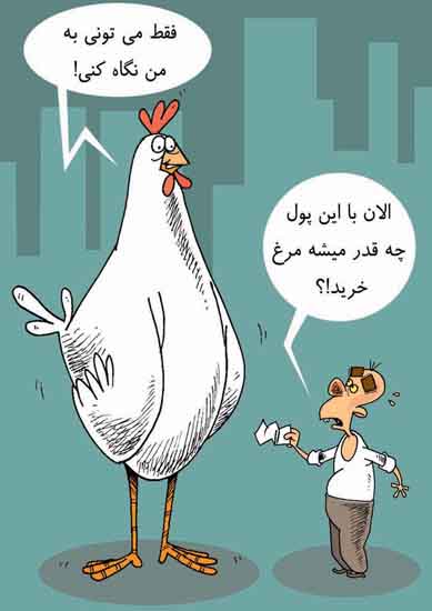 کاریکاتور؛ رابطه حقوق و قیمت مرغ!