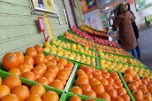 سودهایی عجیب که دلالان میوه میبرند
