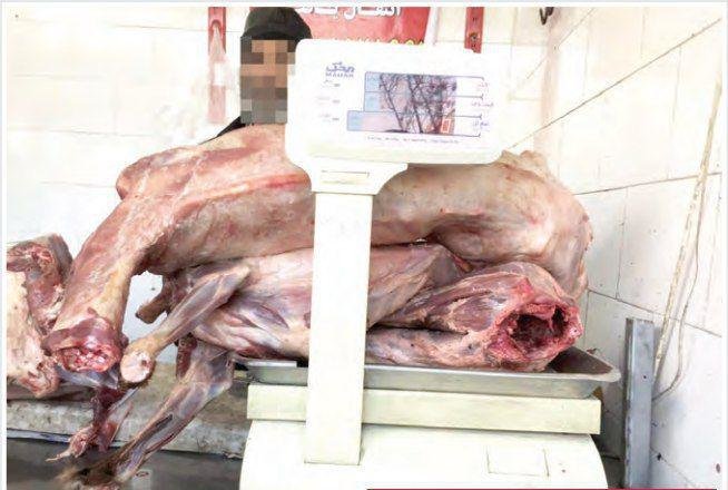 کشف گوشت سگ در یکی از قصابی‌های مشهد! + عکس