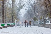 زمستان بازمی گردد!