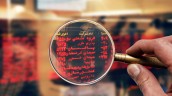 پس لرزه عرضه اولیه در بازار بورس