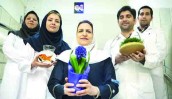 طرح آماده باش نوروزی در تمامی بیمارستانها و مراکز درمانی تأمین اجتماعی