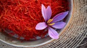 گران شدن یک میلیون تومانی هر کیلو زعفران در یکماه