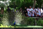 باغ پرندگان یک بمب ساعتی است