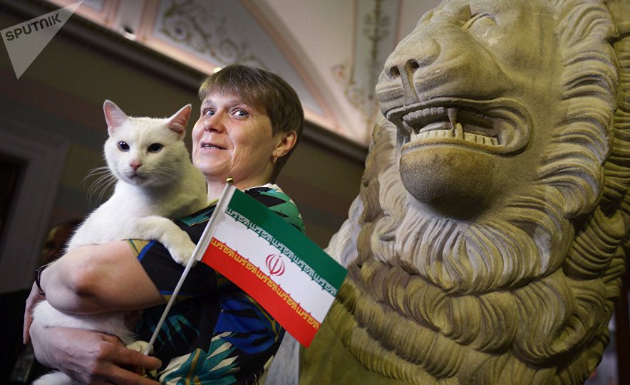 پیش‌بینی نتیجه بازی ایران و اسپانیا توسط گربه‌ پیشگو