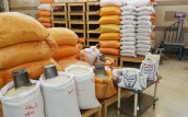 ابهام در ریخت و پاش ارزی برای واردکنندگان برنج + جدول