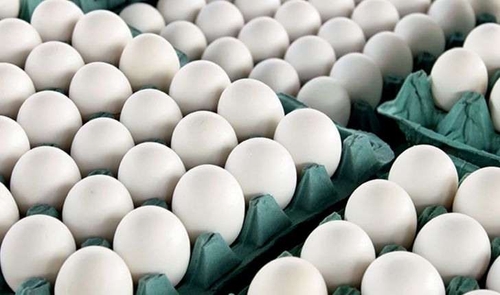 آغاز عرضه تخم مرغ وارداتی برای کنترل قیمت