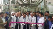 مردمی کردن اقتصاد در دستورکار ستاد