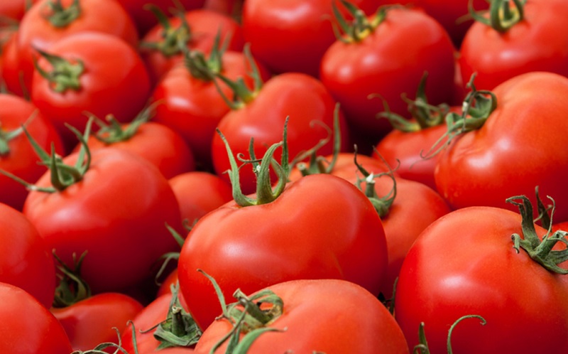 راه اندازی کمپین تحریم گوجه فرنگی