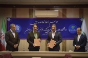 انگیزه حمایت از جامعه دانشگاهی در بانک قرض الحسنه مهر ایران شايسته تقدير است