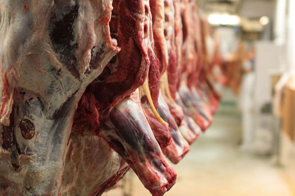 جنجال گوشت های منجمد برزیلی
