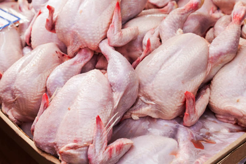 روایت وزیر کشاورزی از علت واقعی گران شدن مرغ