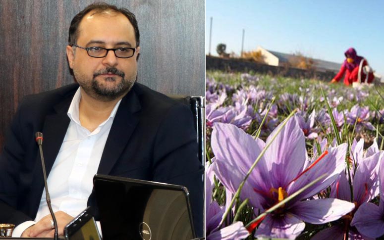 ایران مقام اول تولید زعفران جهان در سال ۹۶-۹۷ را در اختیار گرفت