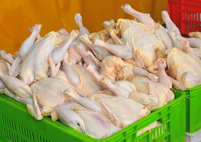 ماجرای خون‌مردگی و لکه‌های سبزرنگ گوشت مرغ چیست؟