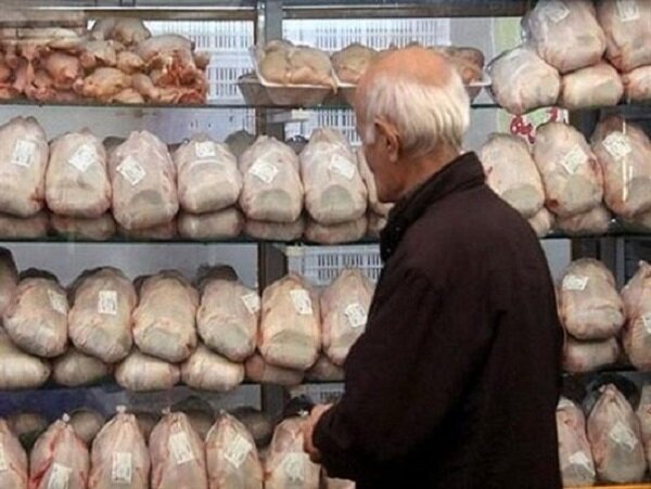 دامپزشکی«تریاکی بودن مرغ‌ها» را تکذیب کرد
