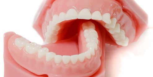 خرید «دندان مصنوعی» چقدر برایتان آب می‌خورد؟