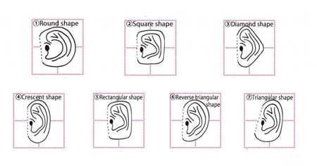 گوش شما کدام شکل است؟