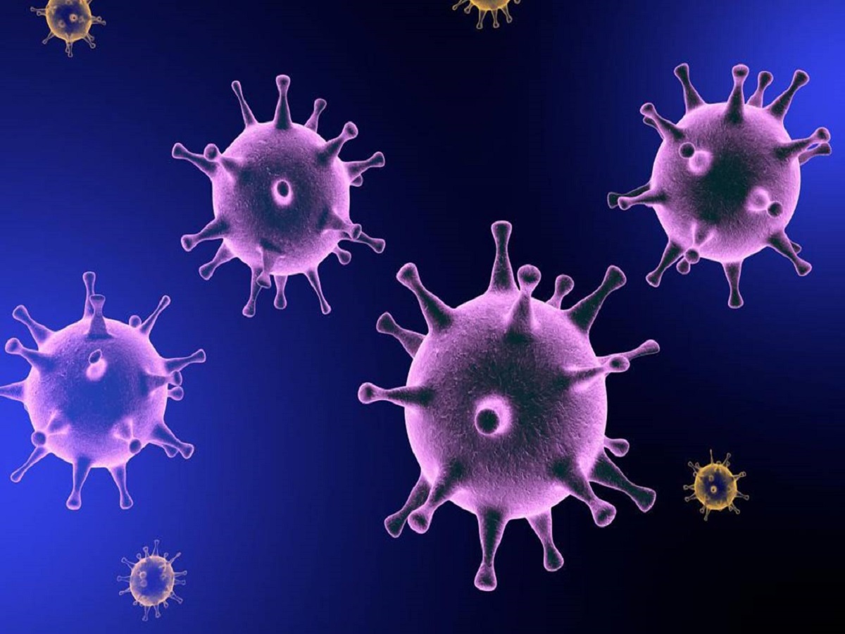 هر آنچه باید در مورد ویروس کرونا بدانید