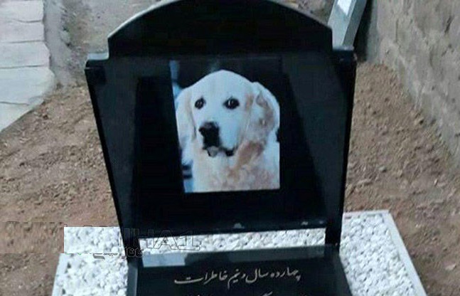 ماجرای جنجالی مراسم خاکسپاری یک سگ در مسجد! + عکس