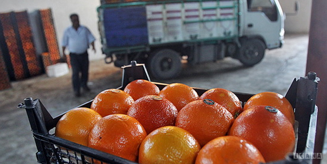فروش پرتقال‌های رنگ شده در بازار به نام پرتقال شمال