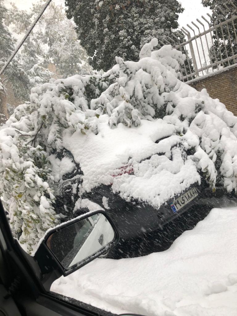 برف دوباره شهرداری تهران را غافلگیر کرد + عکس و فیلم