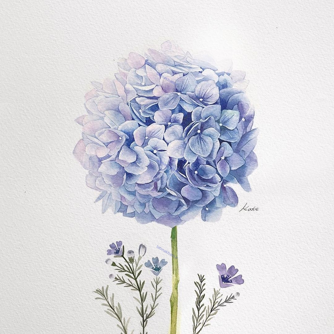 آموزش گام به گام رسم گل های زیبا به سبک هنرمند کره ای
