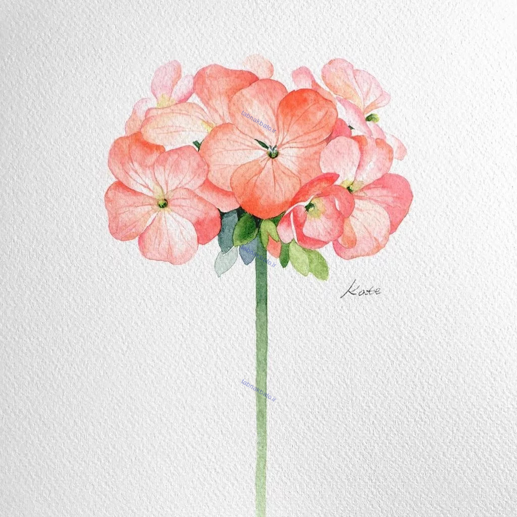 آموزش گام به گام رسم گل های زیبا به سبک هنرمند کره ای