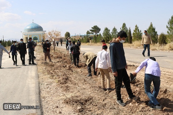 کاشت 1700نهال درخت در یادمانهای شهدای گمنام کرمان