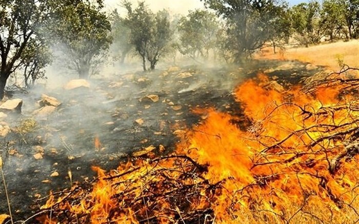  آتش سوزی در عرصه‌های طبیعی کشور