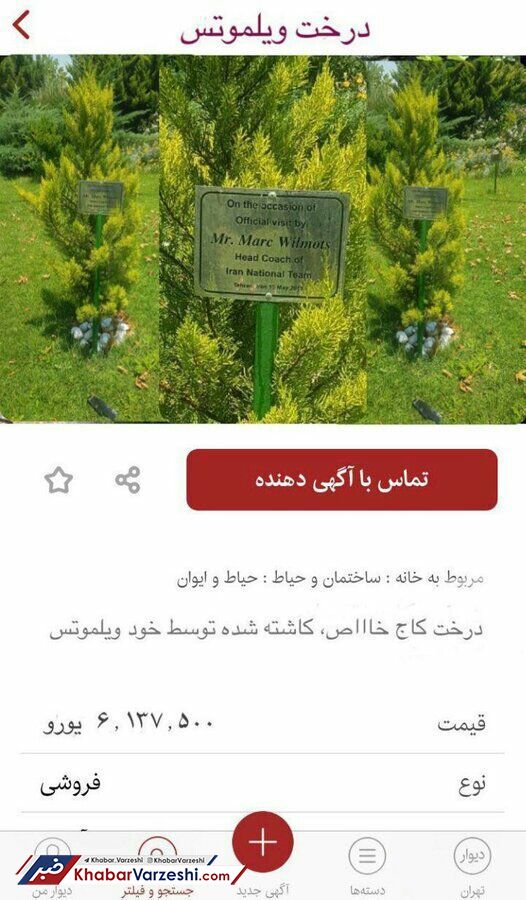 عکس| برگ همه درختان ایران از این آگهی ریخت!