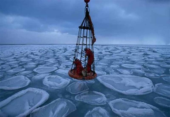 
اکتشافات در اعماق آب‌های قطب جنوب