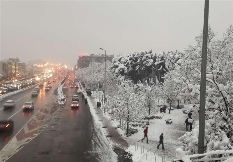 سرما و بارش برف تهران و نیمه شمالی کشور را در بر گرفت
