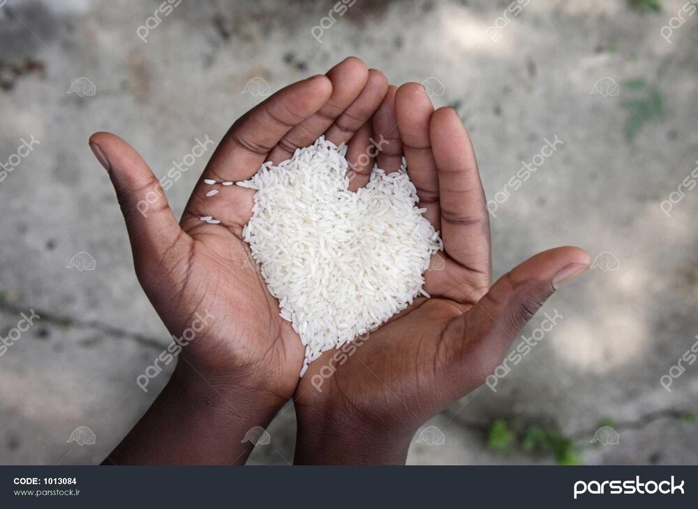 هشدار یک امام جمعه درباره افزایش قیمت برنج ایرانی تا کیلویی یک میلیون ریال / گرانی افسار گریخته و مشکلات معیشتی مردم را در رنج و مشقت قرار داده است