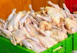احتمال افزایش قیمت مرغ تا ۷۰هزار تومان