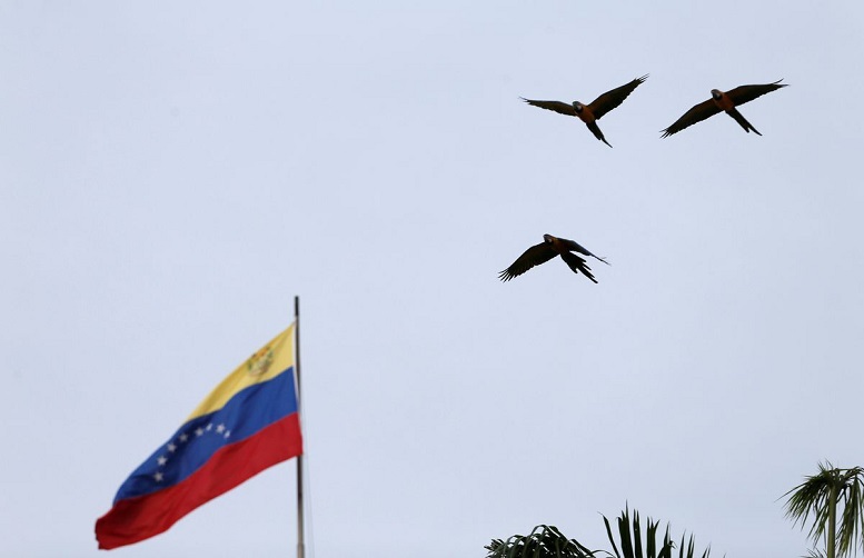                                                    رهبر مخالفان دولت ونزوئلا به مادورو پیشنهاد مذاکره داد                                       